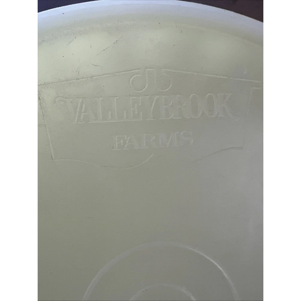 Vintage VALLEYBROOK FARMS Jello Mold Container 60s‎ With Lid 8